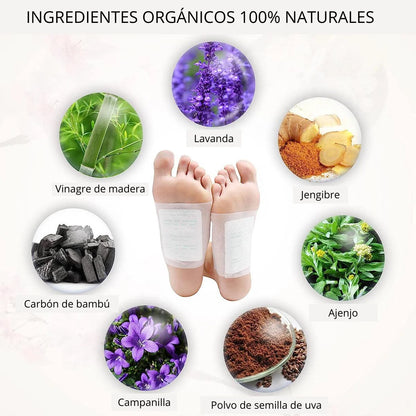 Parches Desintoxicantes Naturales 30 Unid .- Kinoki Detox™